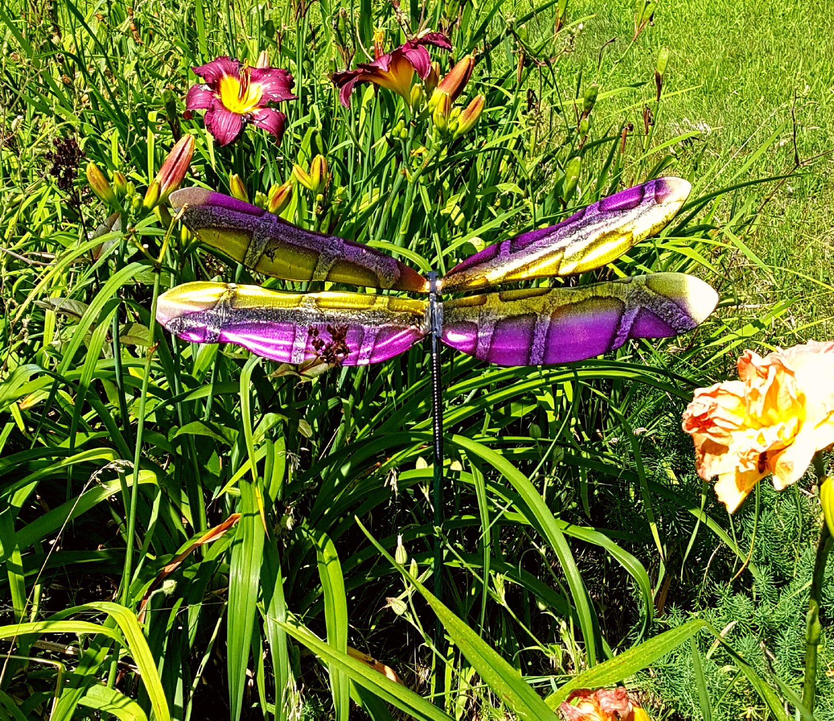Garden Dragonfly