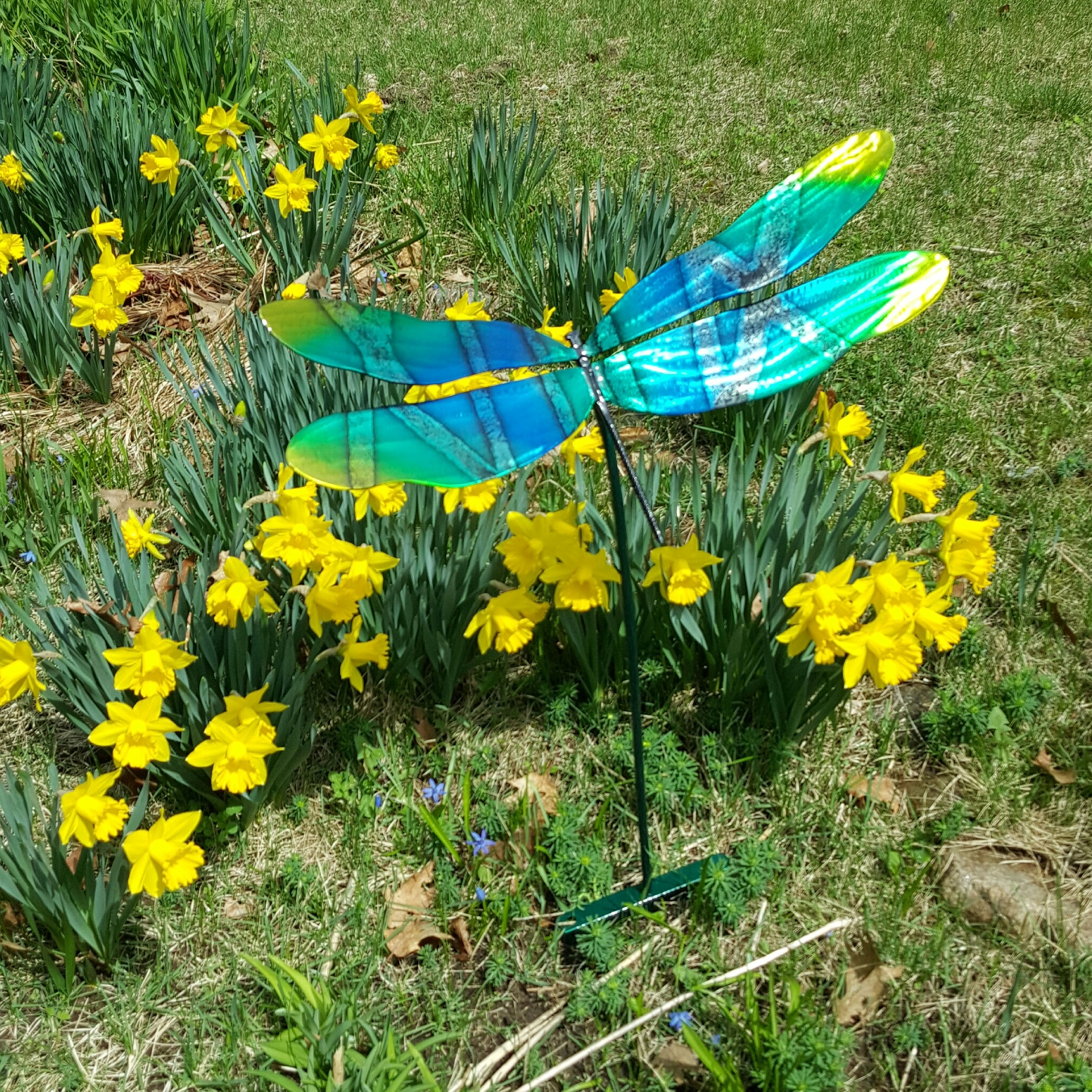 Custom Garden Dfly