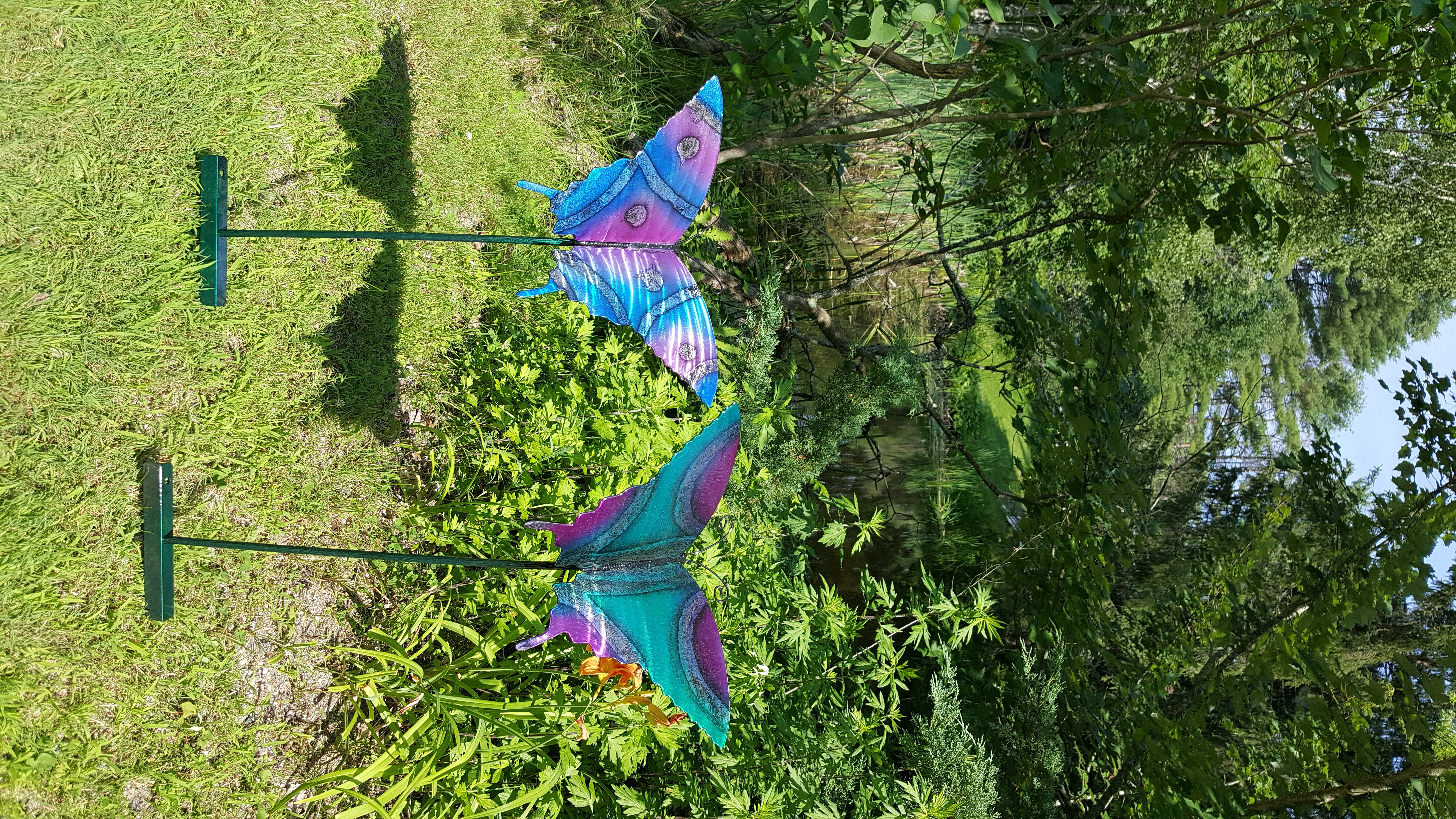 Garden Butteflies