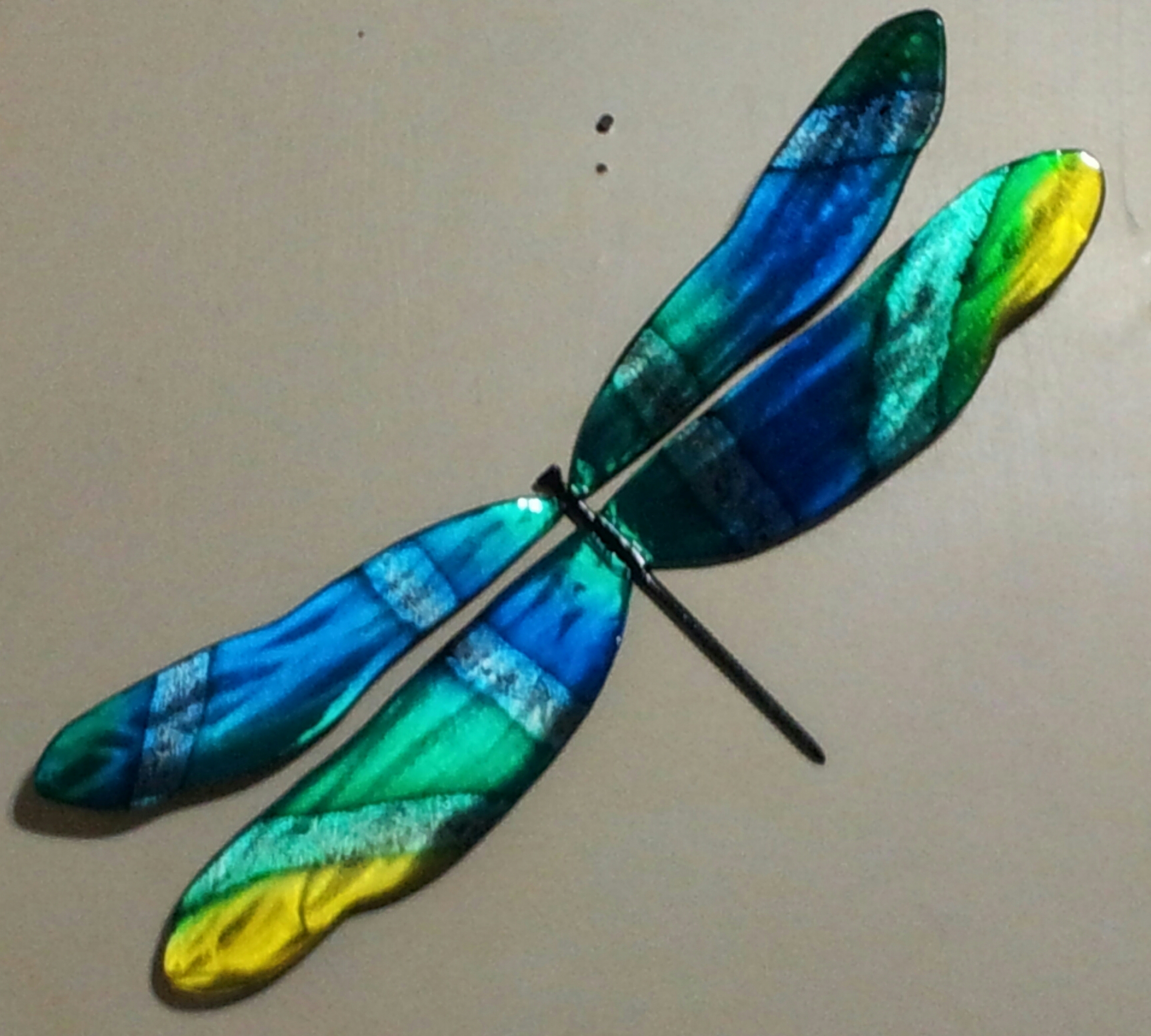 Large Wall Dragonfly