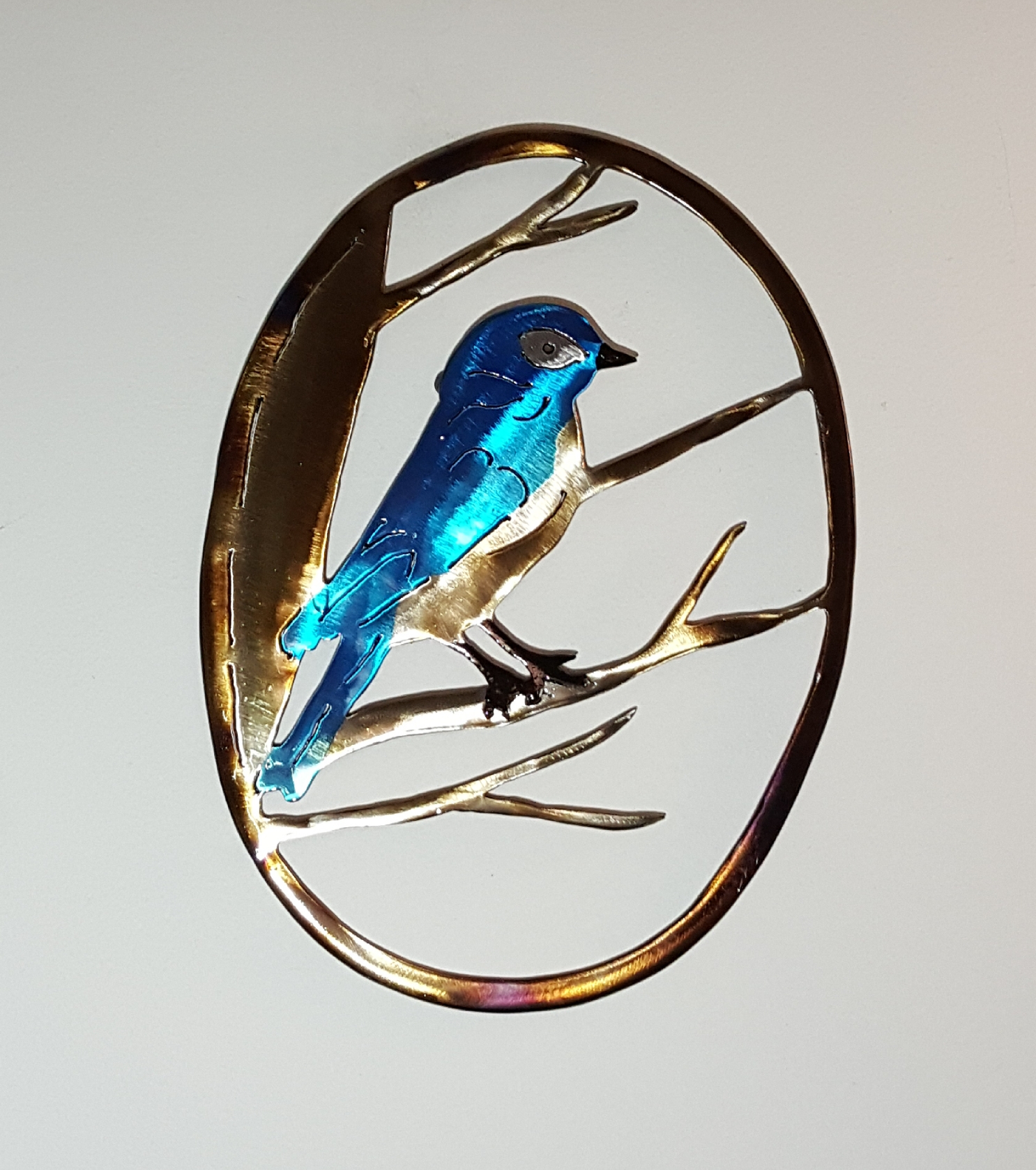 Lil Bluebird in a Maple