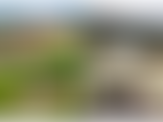 Lascaux IV, Guédelon, la Grotte Chauvet et La Flèche et La Forêt Notre-Dame à Pougues-Les-Eaux : Interpréter sans altérer, quand le patrimoine se vit autrement