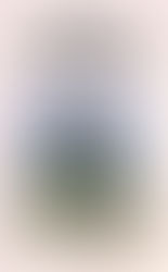 Woman at Point Zero by Nawal El Saadawi