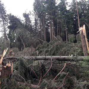 Dokumentation von Schäden