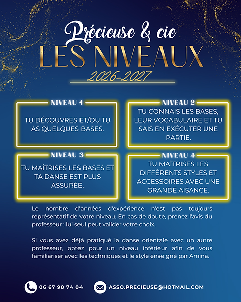 Niveaux Précieuse 26-27.png