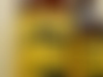 七田 純米 山田穂 七割五分 無濾過生