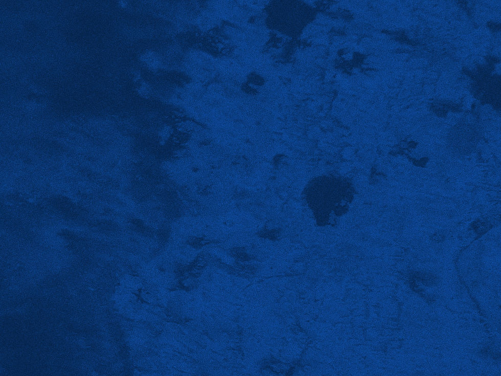 27395896.jpg
