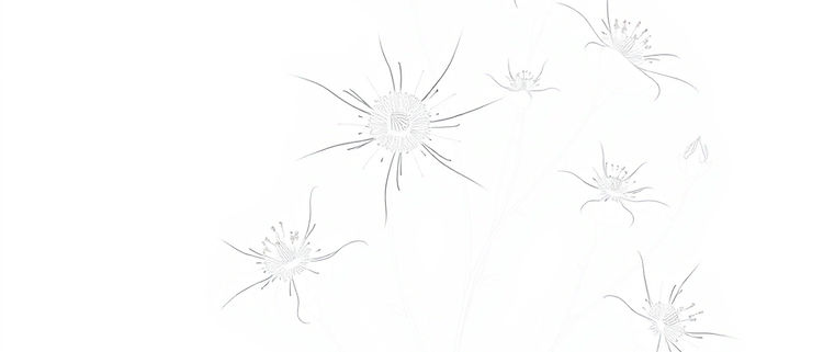 line art in white with delicate flowers, clear background. make image 2000px wide x 600 px
