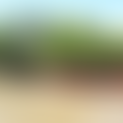 Listo proyecto para segunda fase de la ruta de la achira en Neiva