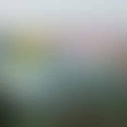 Conmemoración de los 100 años del Baile de la Gaita en Guatapurí