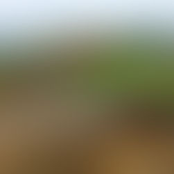 Primera visita de la Ministra de Transporte a los terrenos de Aerocafé