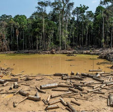 Gobernadores y alcaldes de Amazonia firman pacto de 'cero deforestación'