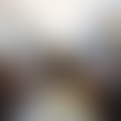 Protocolos de Relacionamiento para la Participación Plena y Efectiva de los Pueblos y Organizaciones Indígenas en la Agenda Internacional del Estado colombiano