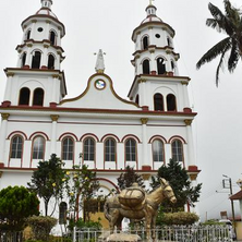 En Anzoátegui y Alvarado se generaron hallazgos fiscales que superan los $400 millones