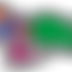 Grises en las administraciones regionales y locales