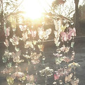 lice aes whisper background _ not my photo, edited by me _ credits are appricated #beabado
