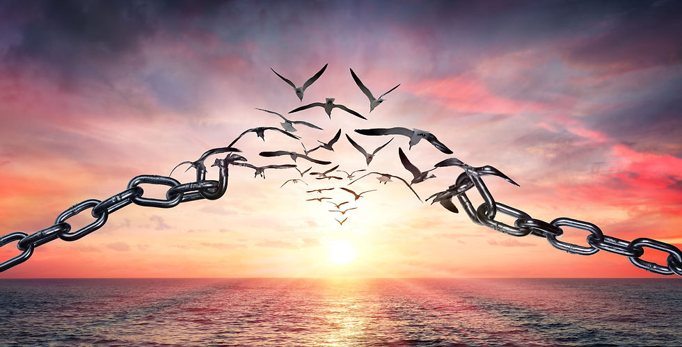 shutterstock_chain_seagulls_sunrise.jpg