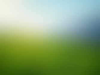 Sustainable Business Practices for B2B Success
