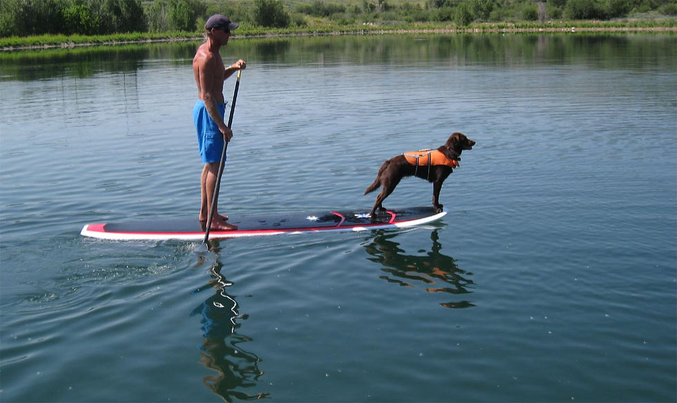paddle5