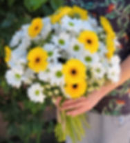 Daisies bouquet