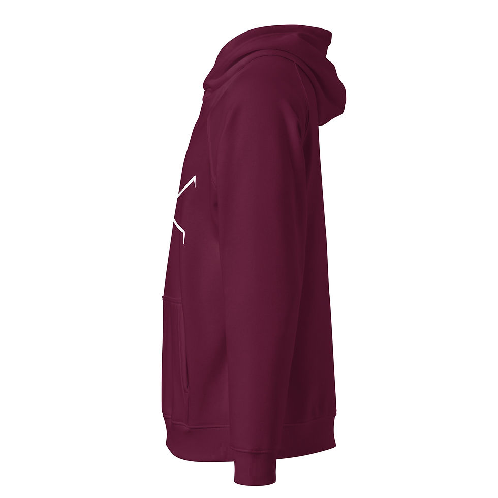 Thumbnail: Deathmoth unisex eco raglan hoodie