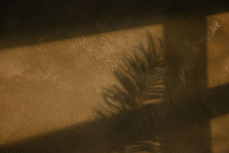 pexels-lisettkruusimae-30173131.jpg