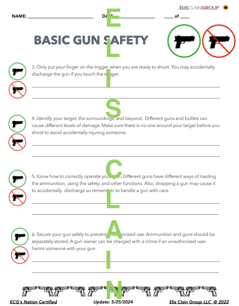 Thumbnail: Basic Gun Safety: A Fatal Tragedy
