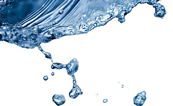 Das Gehirn braucht Wasser