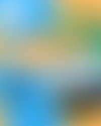 The Ultimate Birthday Celebration!