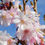 Miniaturbild: Prunus x subhirtella 'Autumnalis Rosea' | Winter Flowering Cherry Tree