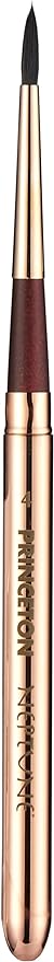 Princeton Neptune Travel Brush Round 4