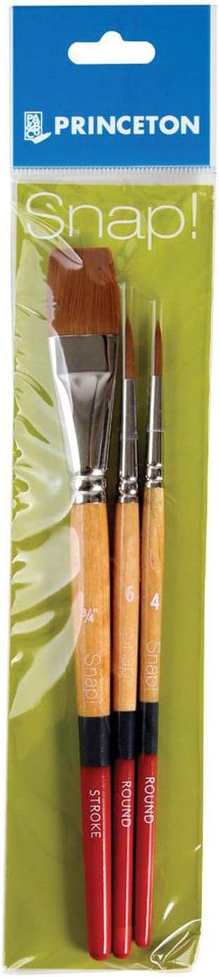 princeton snap paint brushes