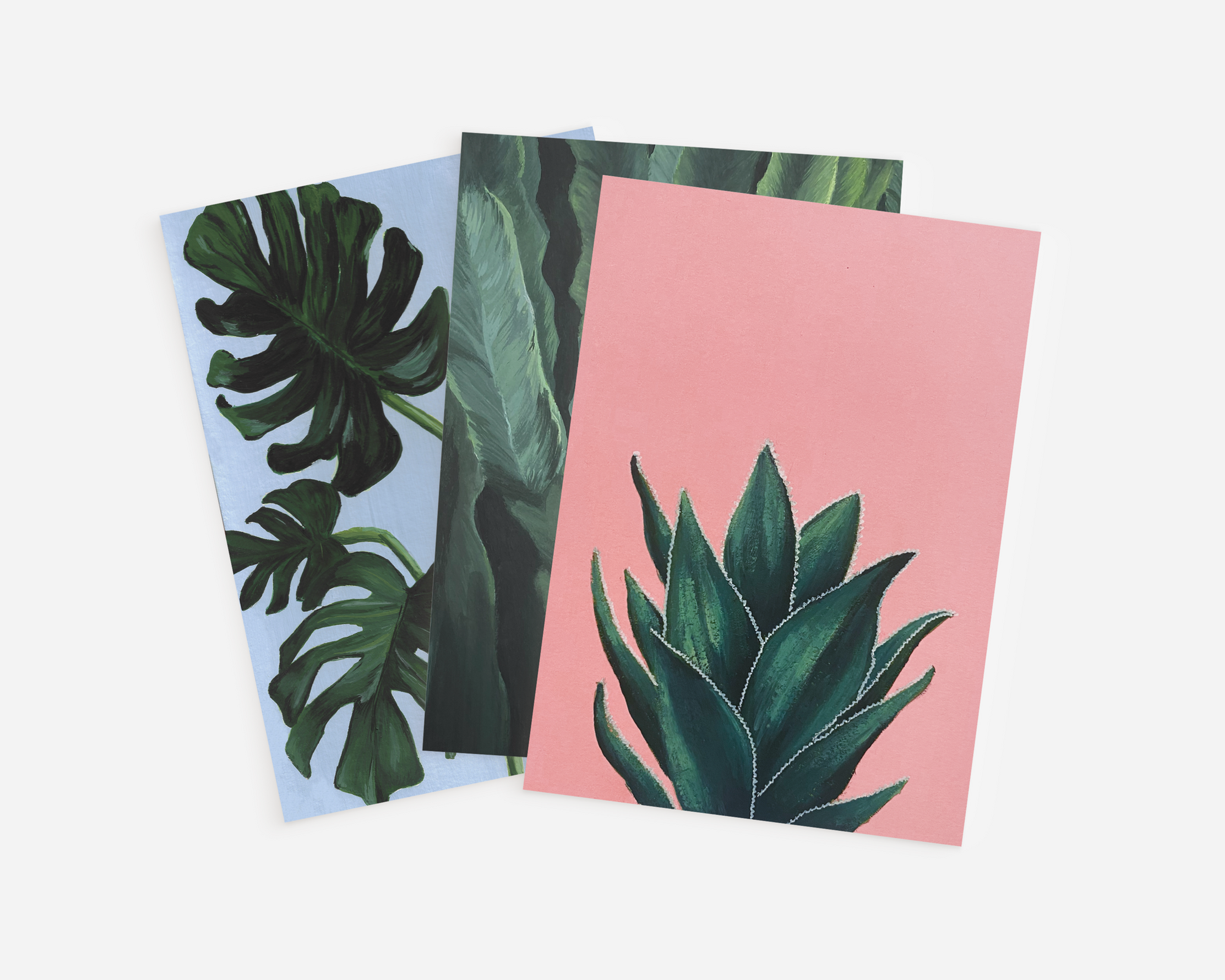 Botanical Card Collection