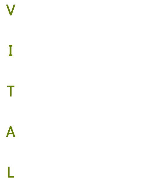 V I T A L.png