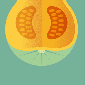 Séries d'illustrations alimentation bijoux vêtement courge