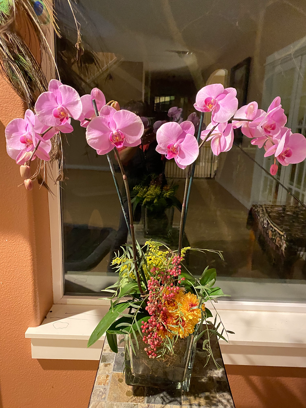 Thumbnail: Orchid Arrangements