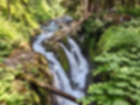 PXL_20210728_210738587-2.jpeg