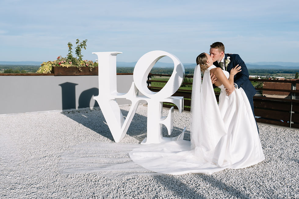 Marine & Nicolas - Le mariage à Val Vignes -547 (1).jpg
