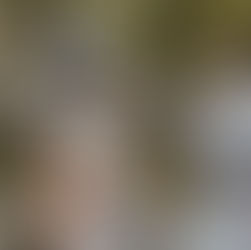 唐朝服飾的美：長歌行& 驪歌行