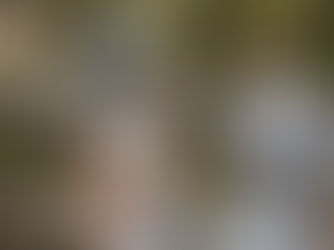 唐朝服飾的美：長歌行& 驪歌行