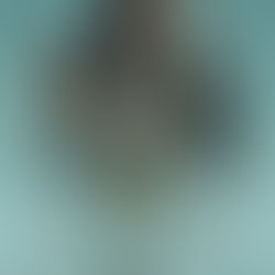 史詩級科幻藝術片：Dune (2021) | 沙丘瀚戰