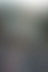 在布拉格找美食的小饞貓