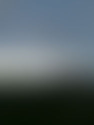 在添馬公園野餐