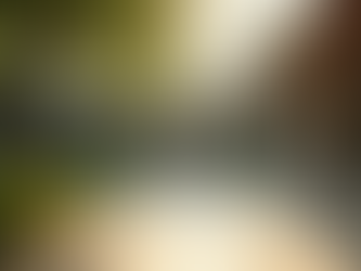 Embracing Transformation: My Journey at Munger Ashram About Living Yoga By Hélène MARLET, France