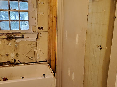 Before Renovation - demolished bathroom