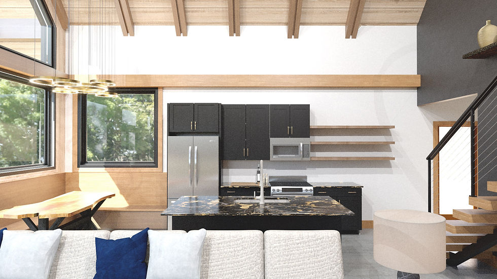 Rendering of a custom home near Charlottesville Virginia