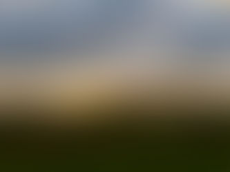 A magic month: February