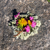 Rita King, Nyvågar