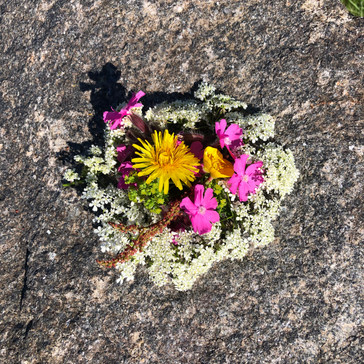 Rita King, Nyvågar