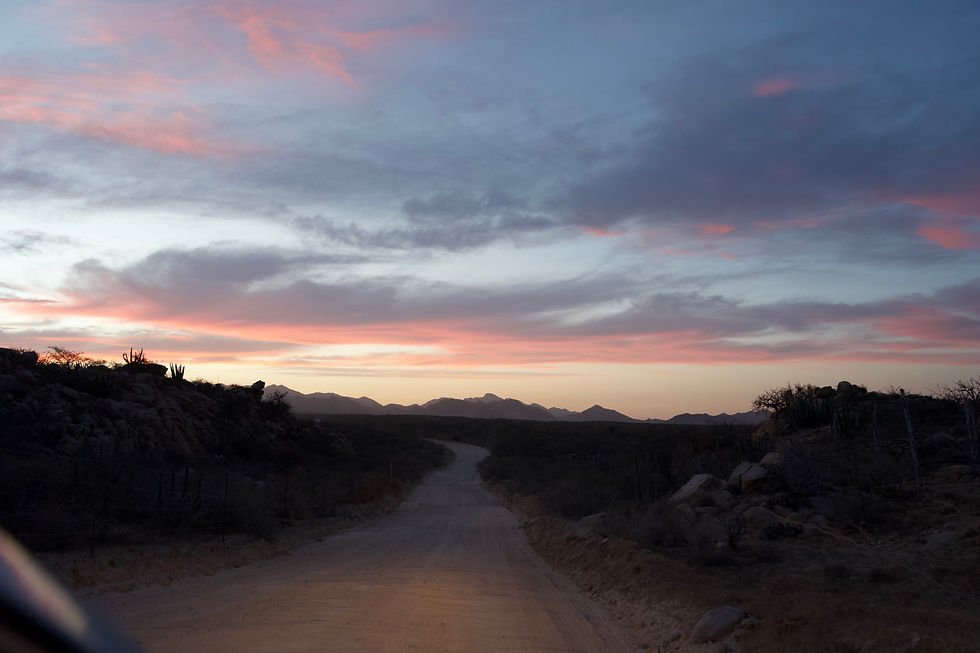 Baja California travel tips